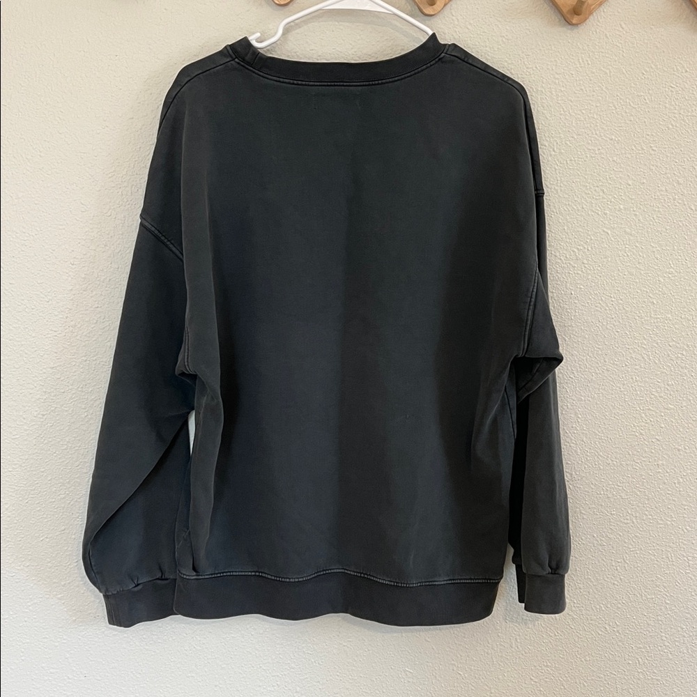 Anine Bing Gray Tiger Graphic Sweater - Picture 6 of 6